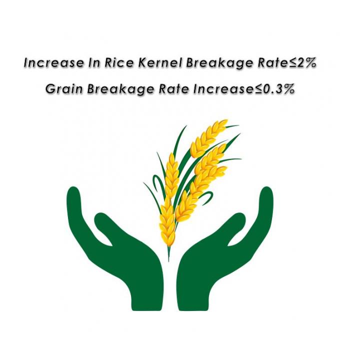 Turm Paddy Trockner zum Trocknen von Reis Mais und andere Körner 5HPX-15 9,95kw Gesamtgröße 2500*4320*10200m 2