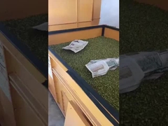 Ventilationstrockner des Sonnenbetttyps