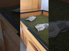 Lüftung Horizontales Bett Trockner Getreide Nüsse Bohnen Trockner Maschine 4 Tonnen