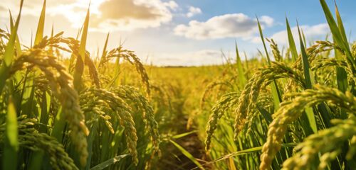 jüngste Unternehmensnachrichten über V