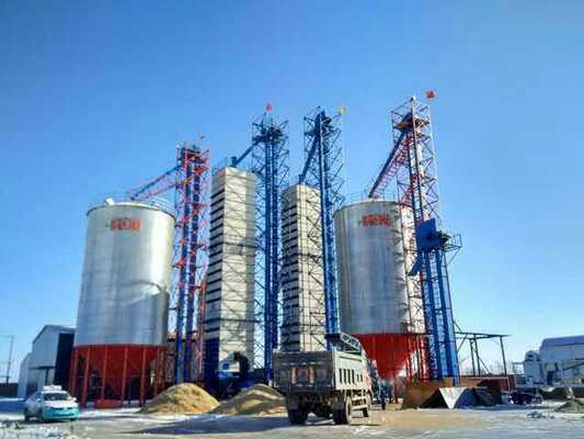 Guter Preis Hitze 200tpd, die Reismühle rohen Paddy Dryer Direct Storage aufbereitet Online